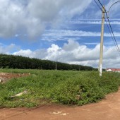 bán đất nền full thổ cư tại trung tâm huyện Krông năng